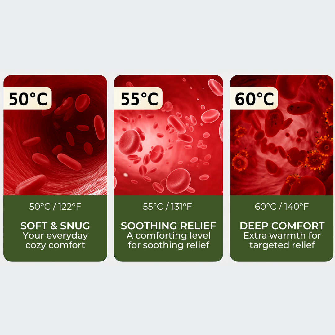 Three temperature levels with corresponding blood vessel images and temperature level with information on a white background